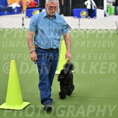 Ring-3-Morning-Obedience_0429