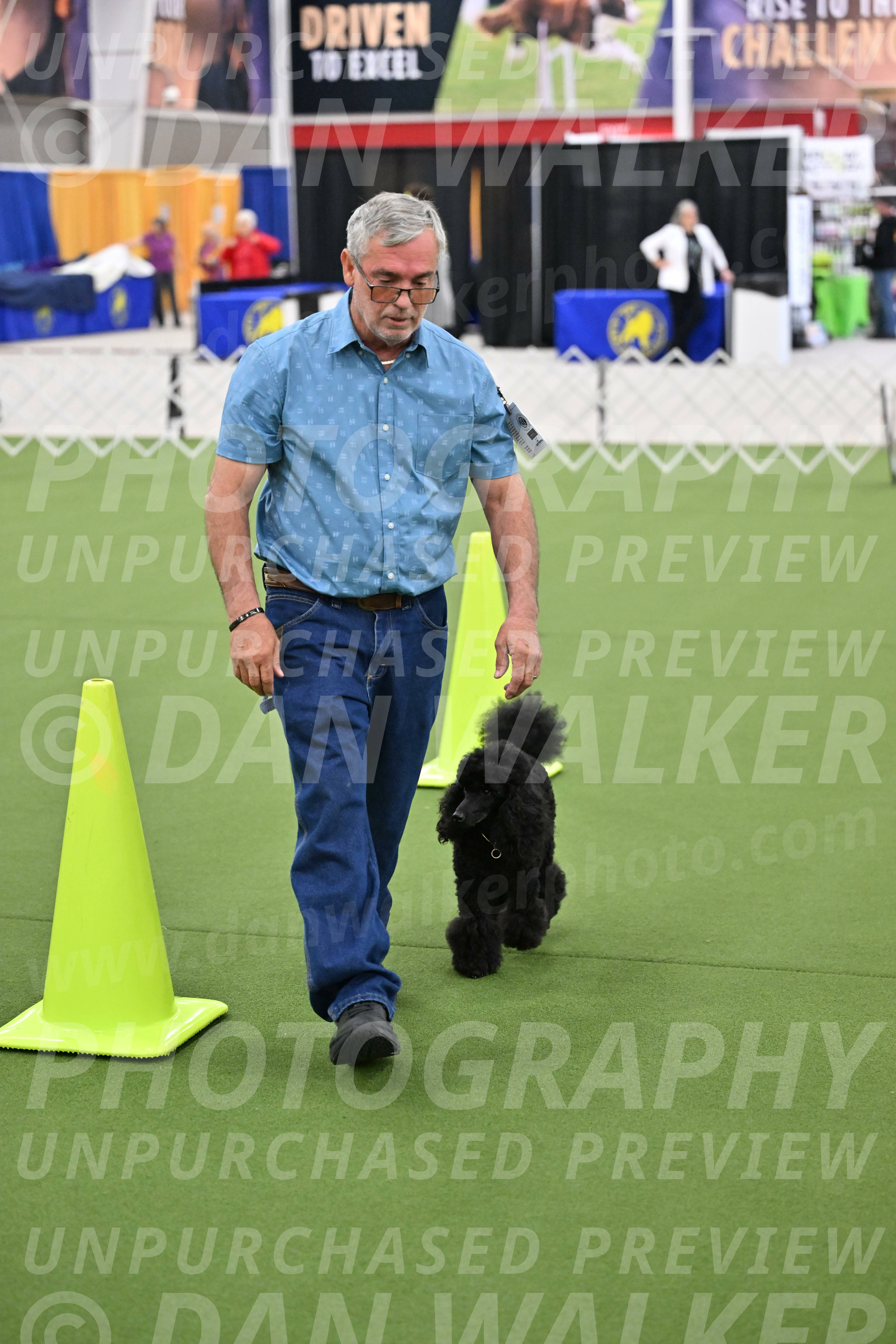 Ring-3-Morning-Obedience_0429