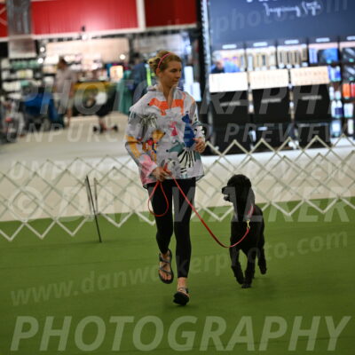 Ring-3-Morning-Obedience_0460