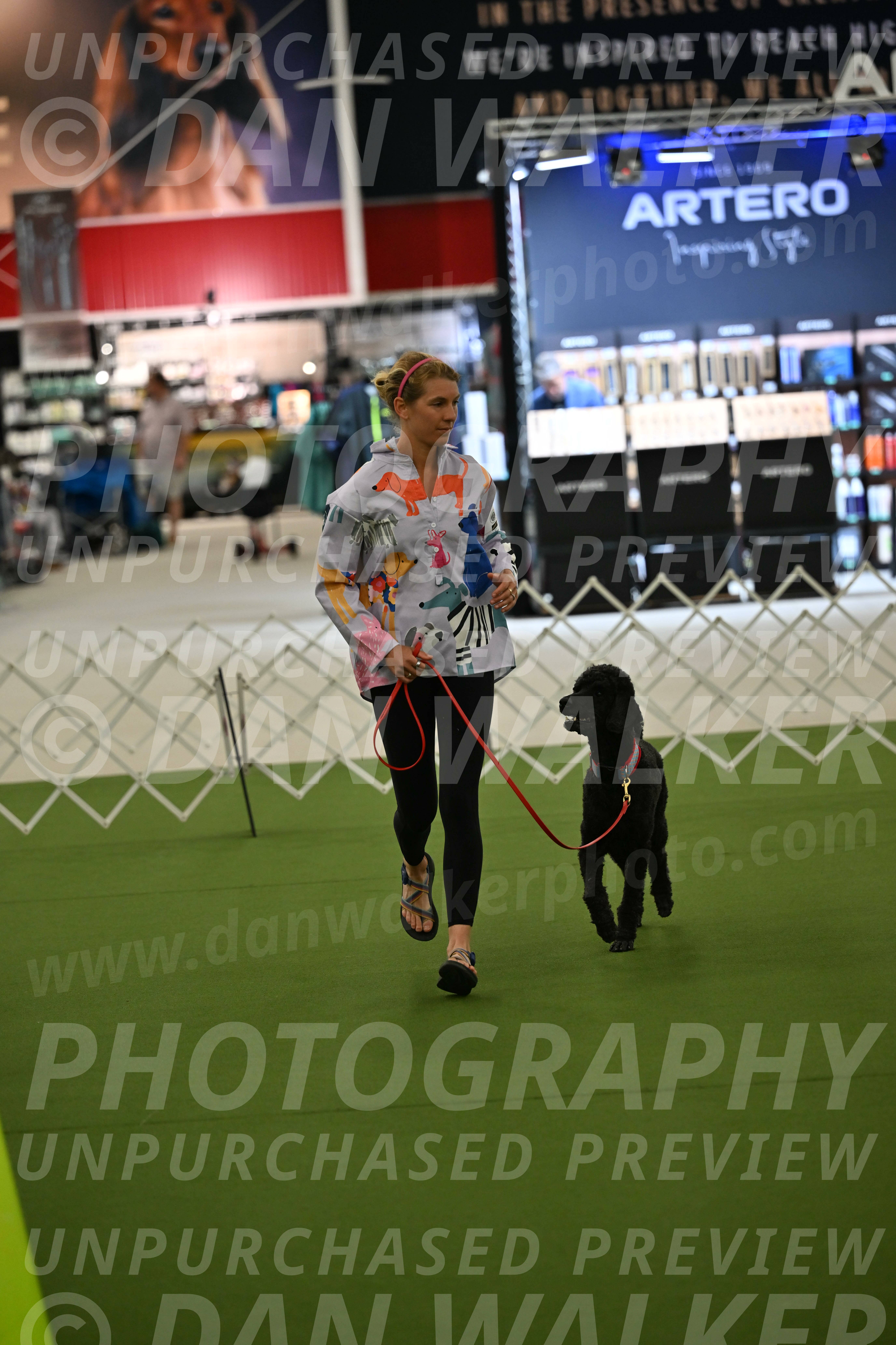 Ring-3-Morning-Obedience_0460