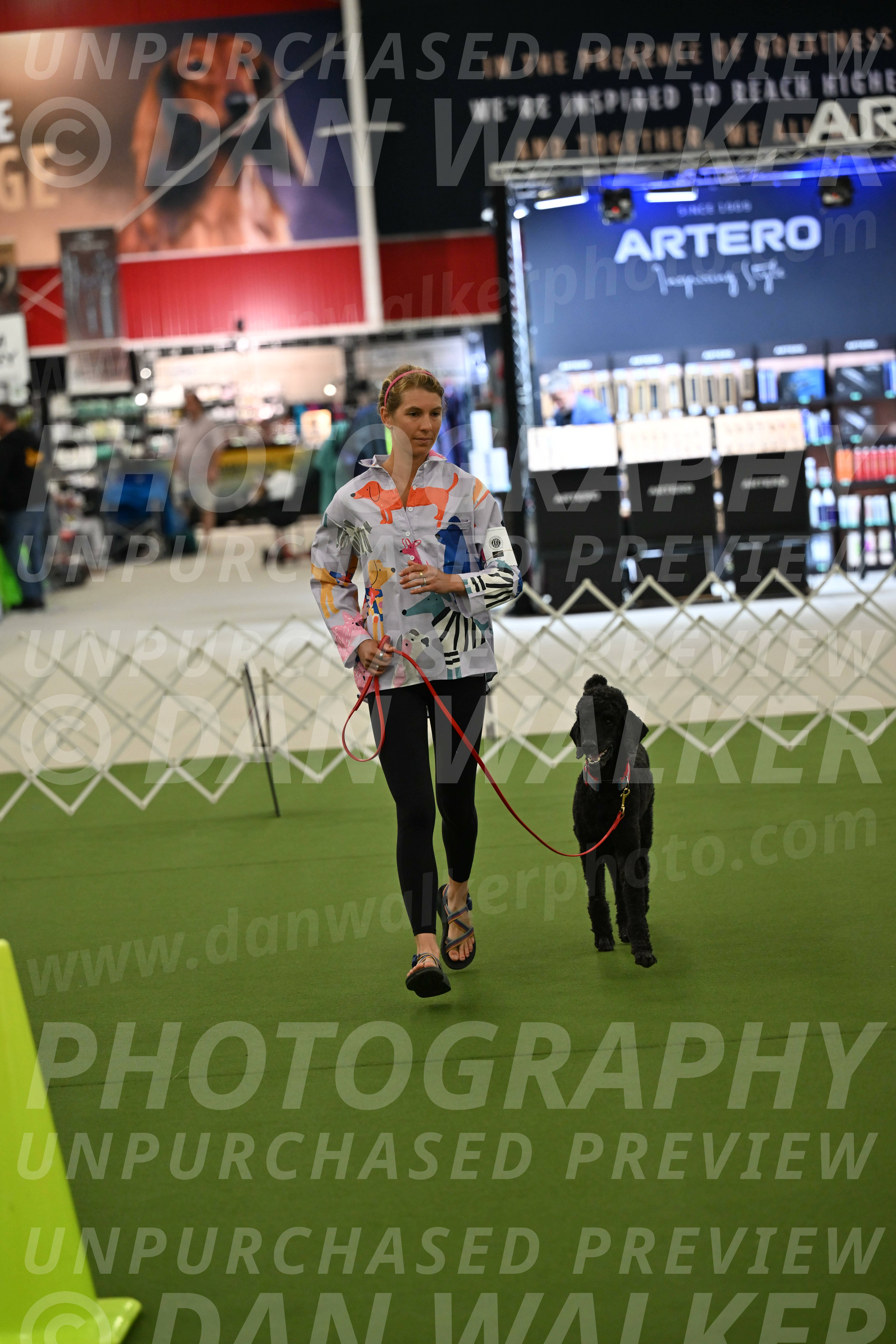 Ring-3-Morning-Obedience_0461