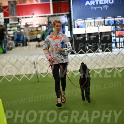 Ring-3-Morning-Obedience_0461