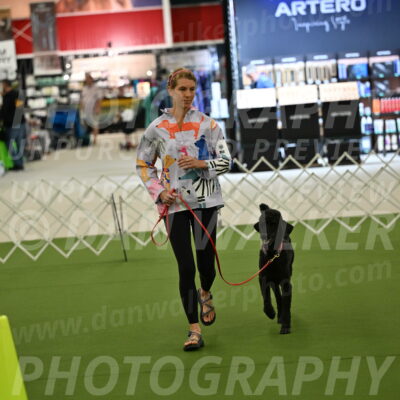 Ring-3-Morning-Obedience_0462