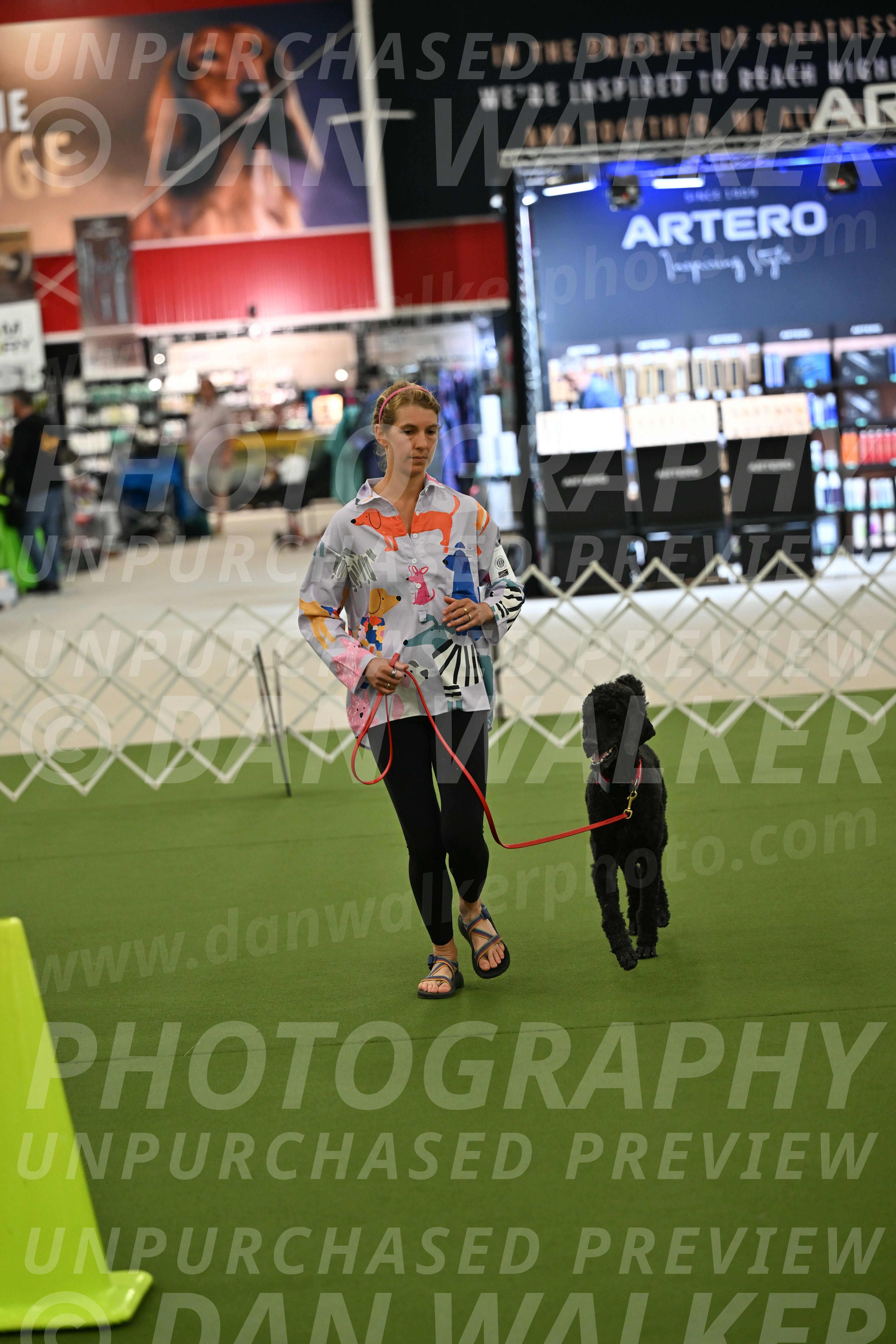 Ring-3-Morning-Obedience_0463