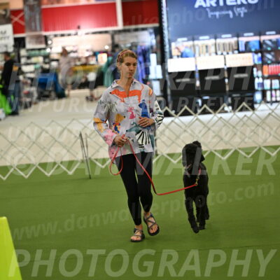 Ring-3-Morning-Obedience_0463