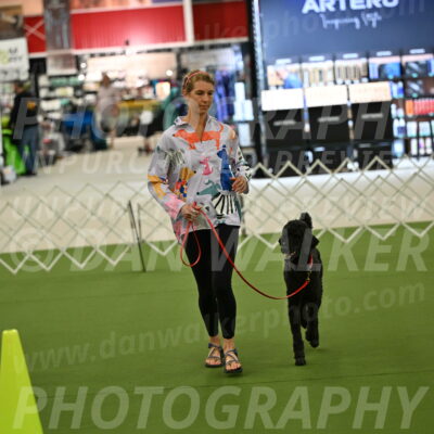 Ring-3-Morning-Obedience_0464