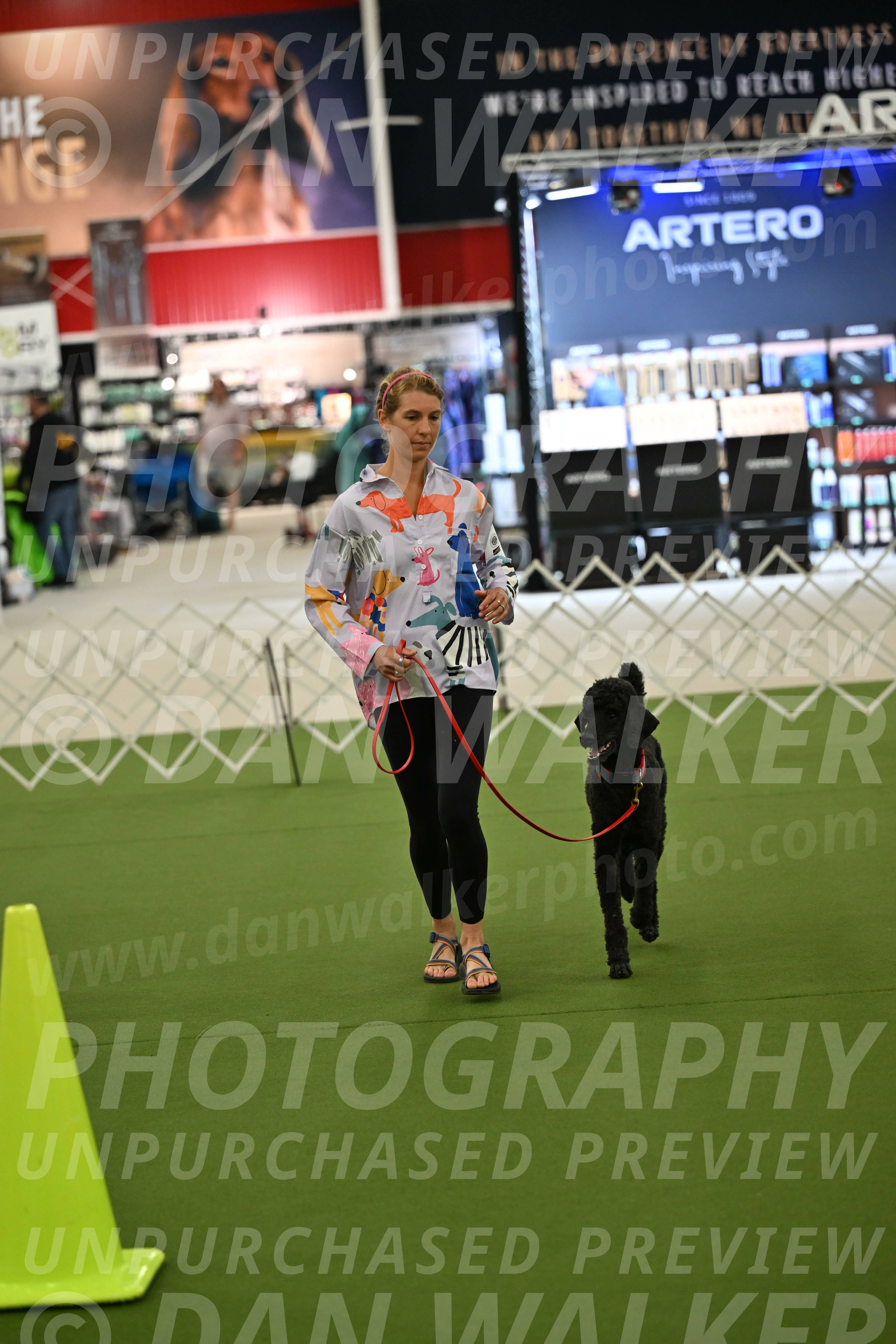 Ring-3-Morning-Obedience_0464