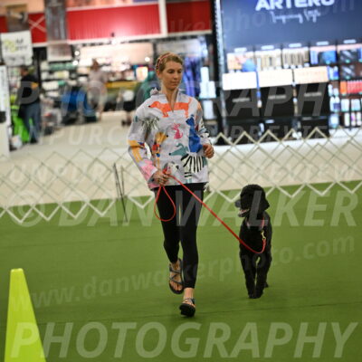 Ring-3-Morning-Obedience_0465