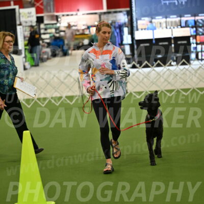 Ring-3-Morning-Obedience_0468