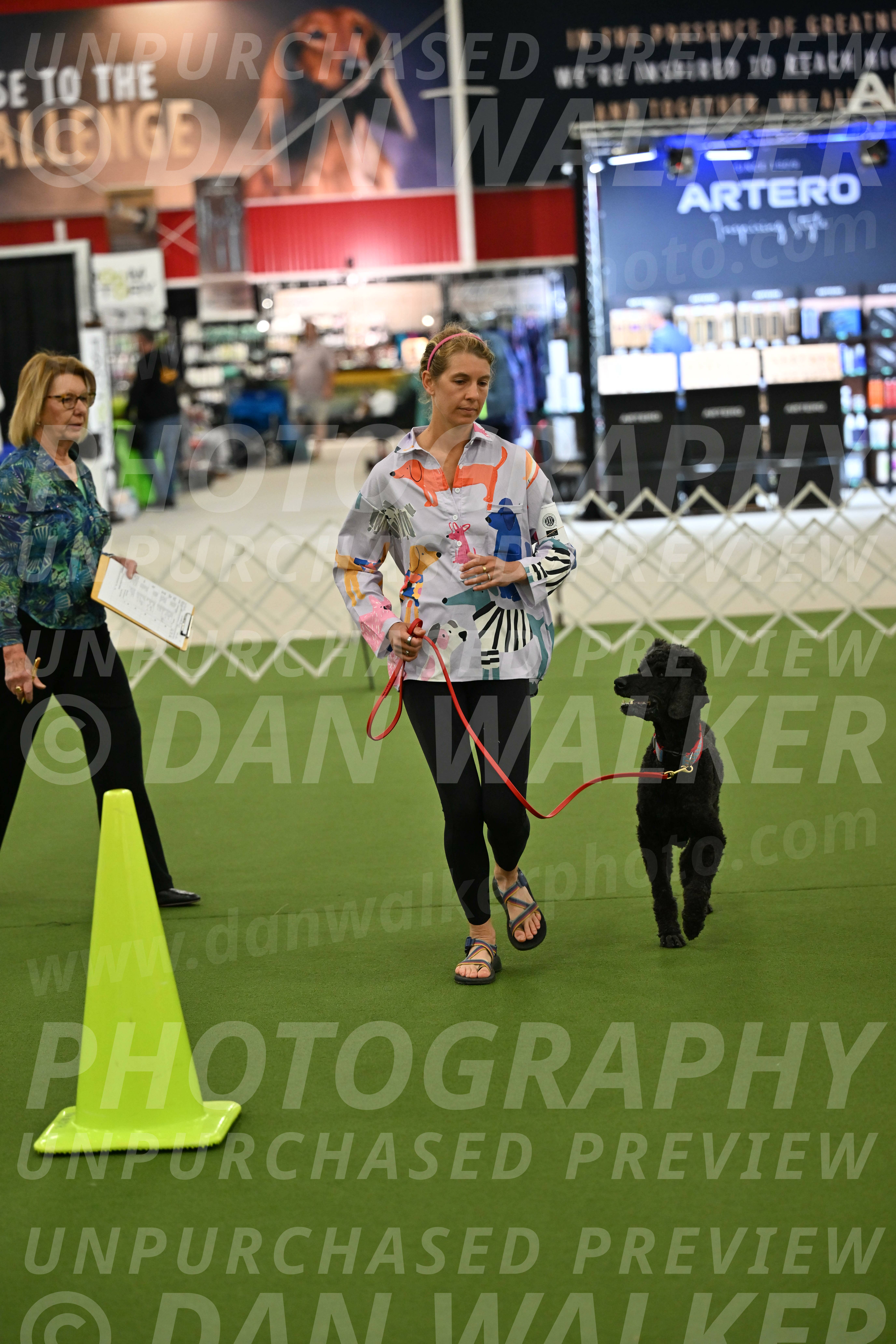 Ring-3-Morning-Obedience_0469