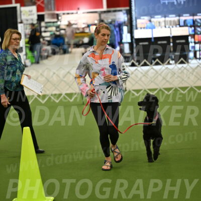 Ring-3-Morning-Obedience_0469