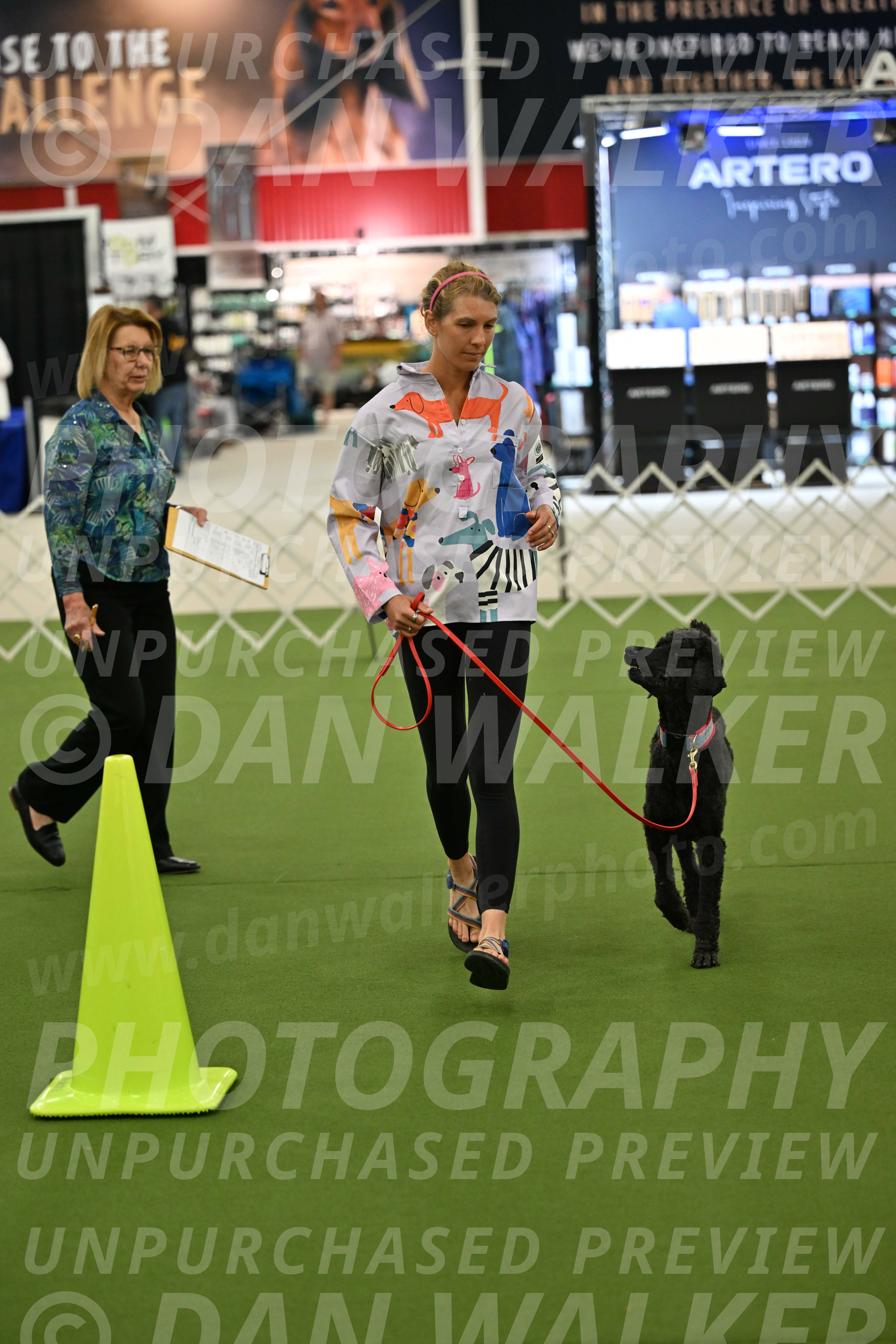 Ring-3-Morning-Obedience_0471