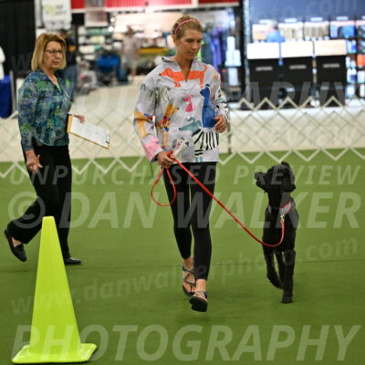 Ring-3-Morning-Obedience_0471