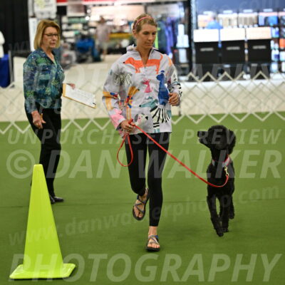 Ring-3-Morning-Obedience_0472