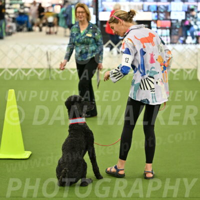 Ring-3-Morning-Obedience_0473