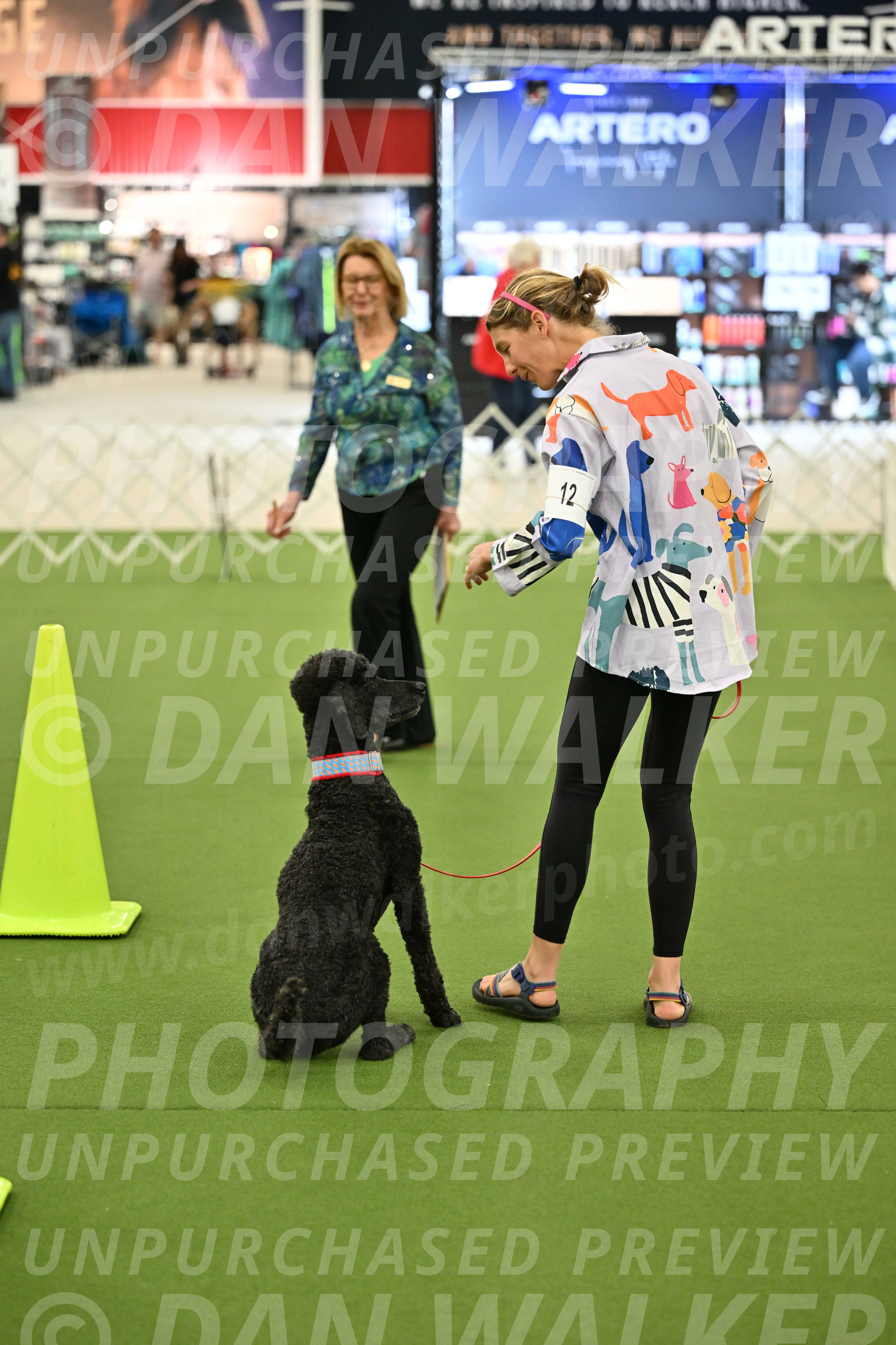 Ring-3-Morning-Obedience_0473