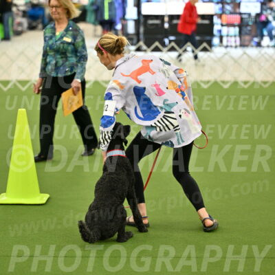 Ring-3-Morning-Obedience_0478