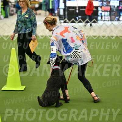 Ring-3-Morning-Obedience_0479