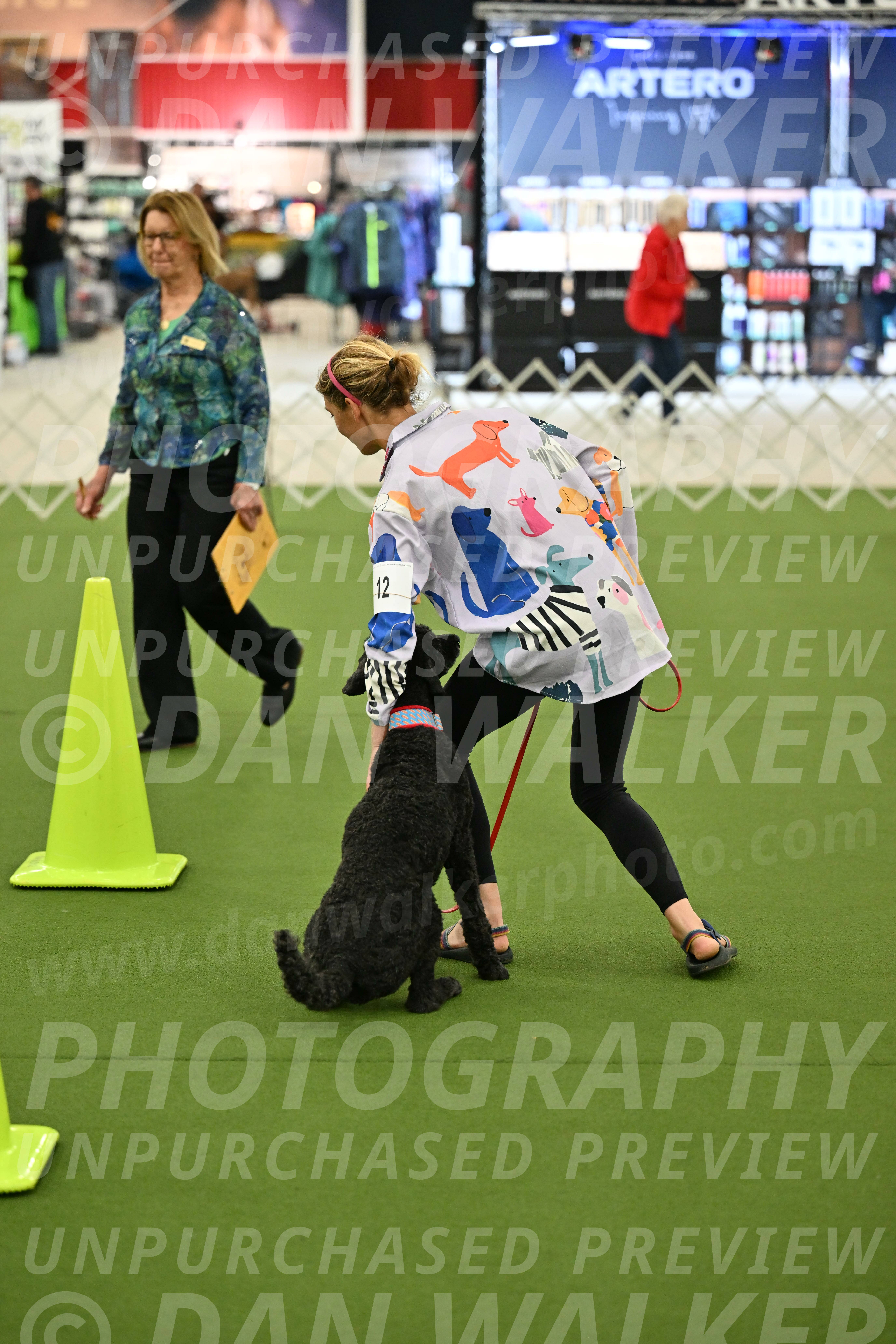 Ring-3-Morning-Obedience_0479