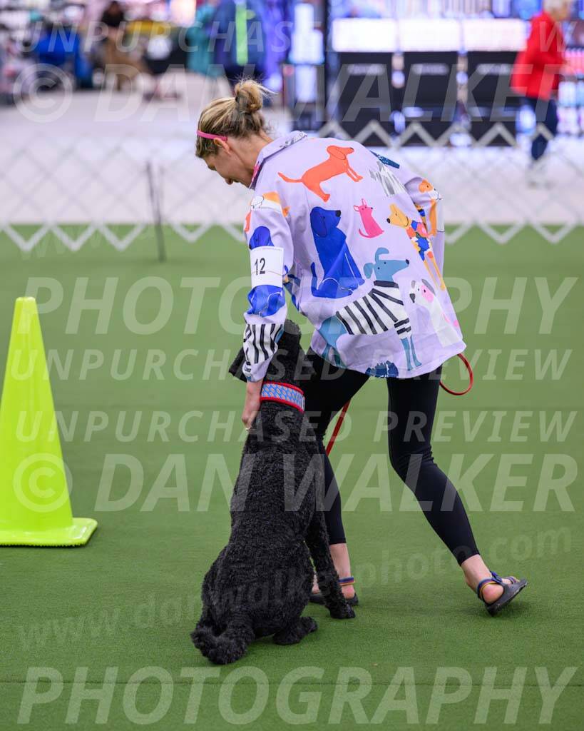 Ring-3-Morning-Obedience_0481-Enhanced-NR