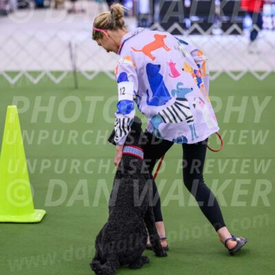 Ring-3-Morning-Obedience_0481-Enhanced-NR