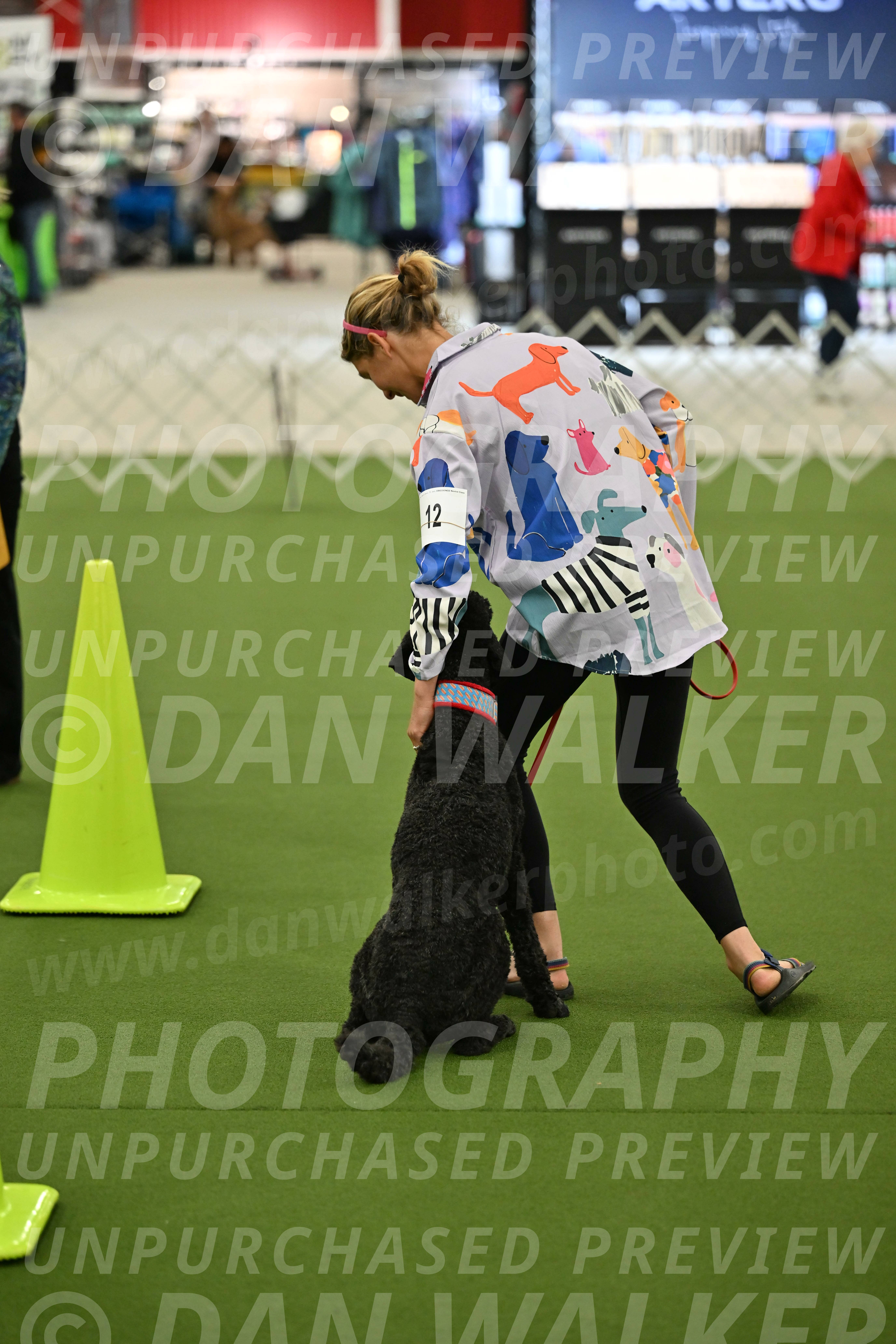 Ring-3-Morning-Obedience_0481