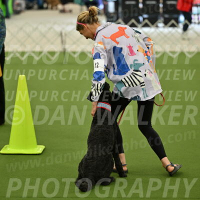 Ring-3-Morning-Obedience_0481