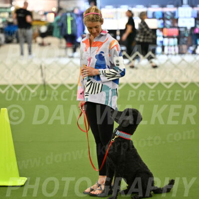 Ring-3-Morning-Obedience_0486