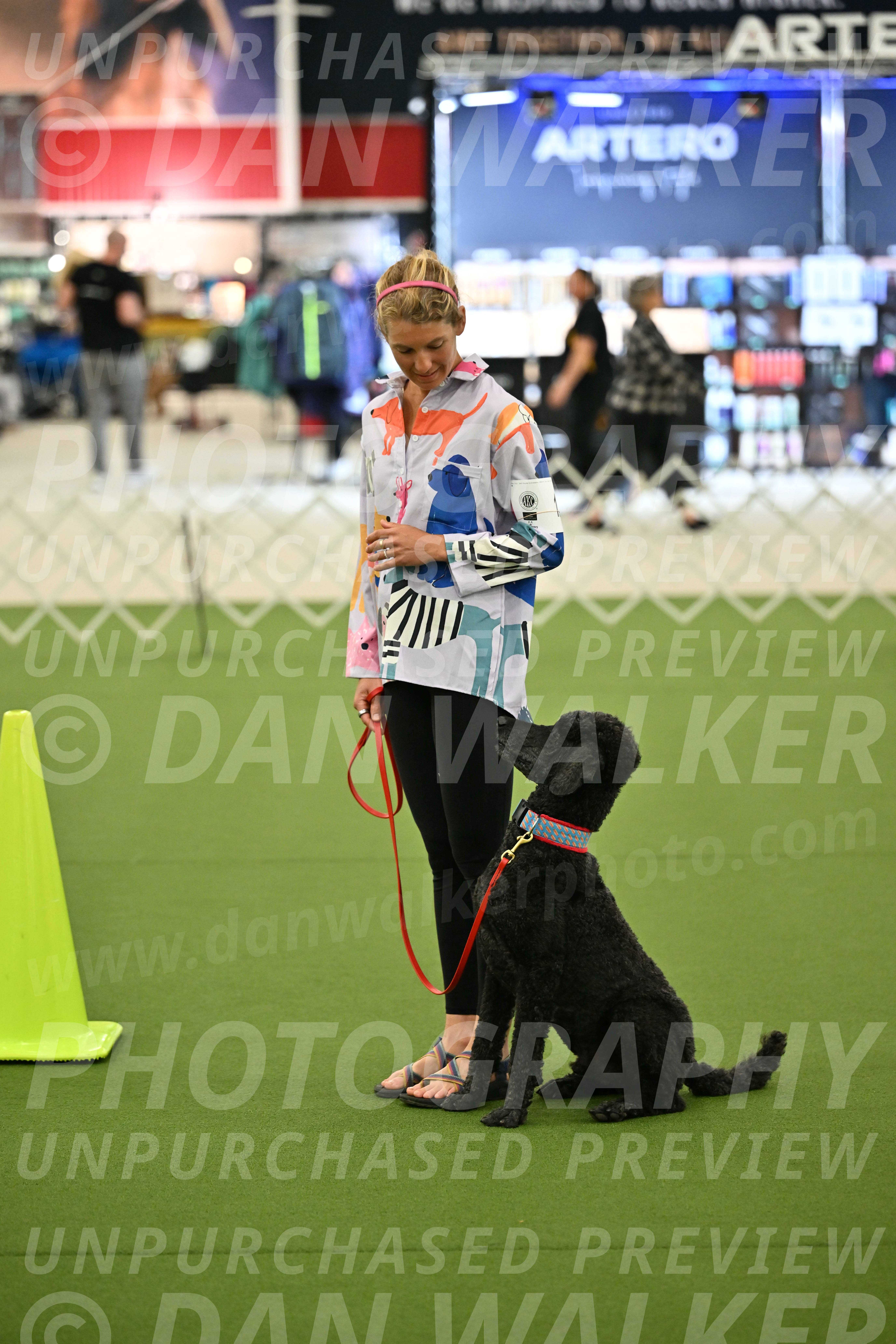 Ring-3-Morning-Obedience_0486