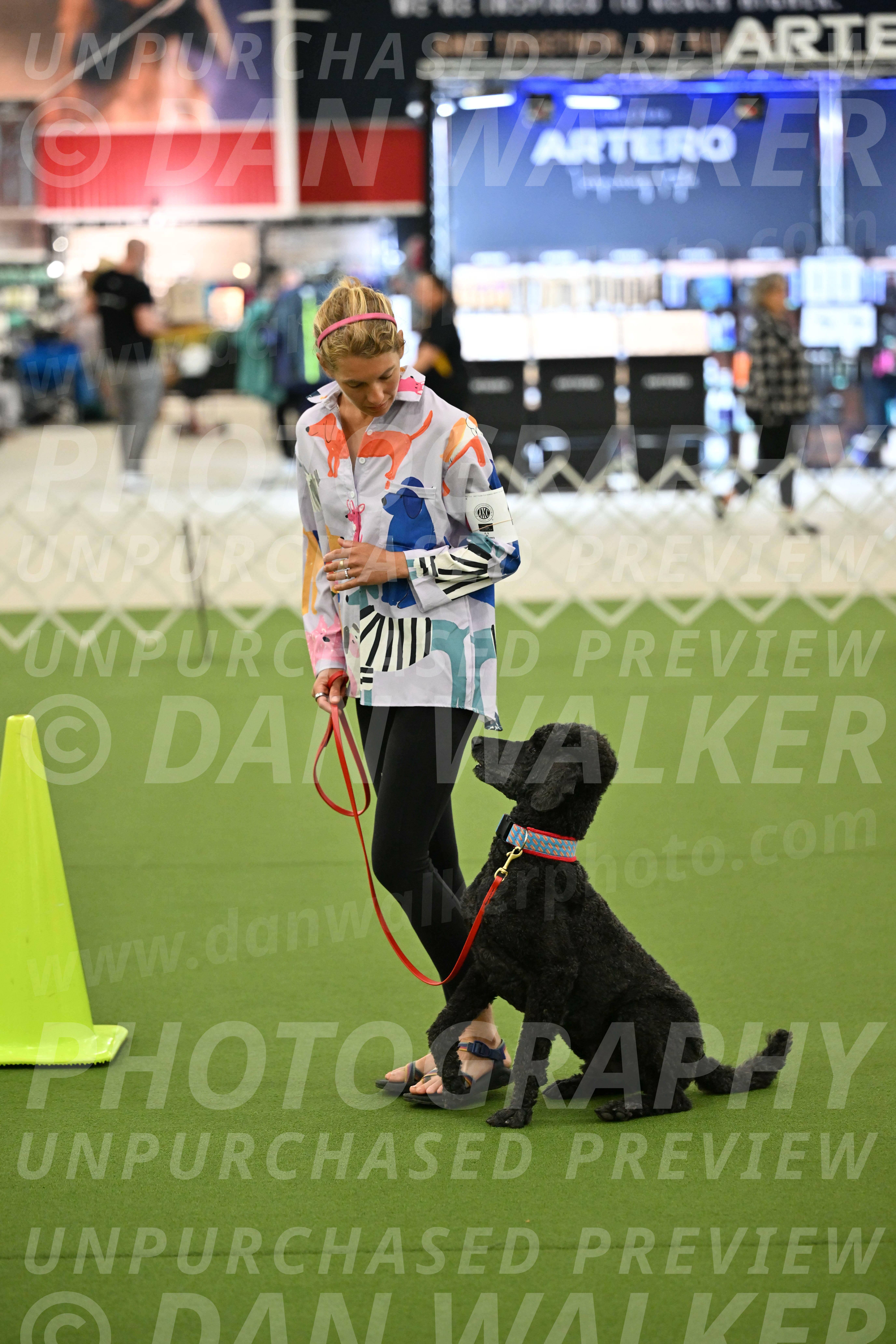 Ring-3-Morning-Obedience_0488