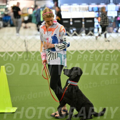 Ring-3-Morning-Obedience_0488