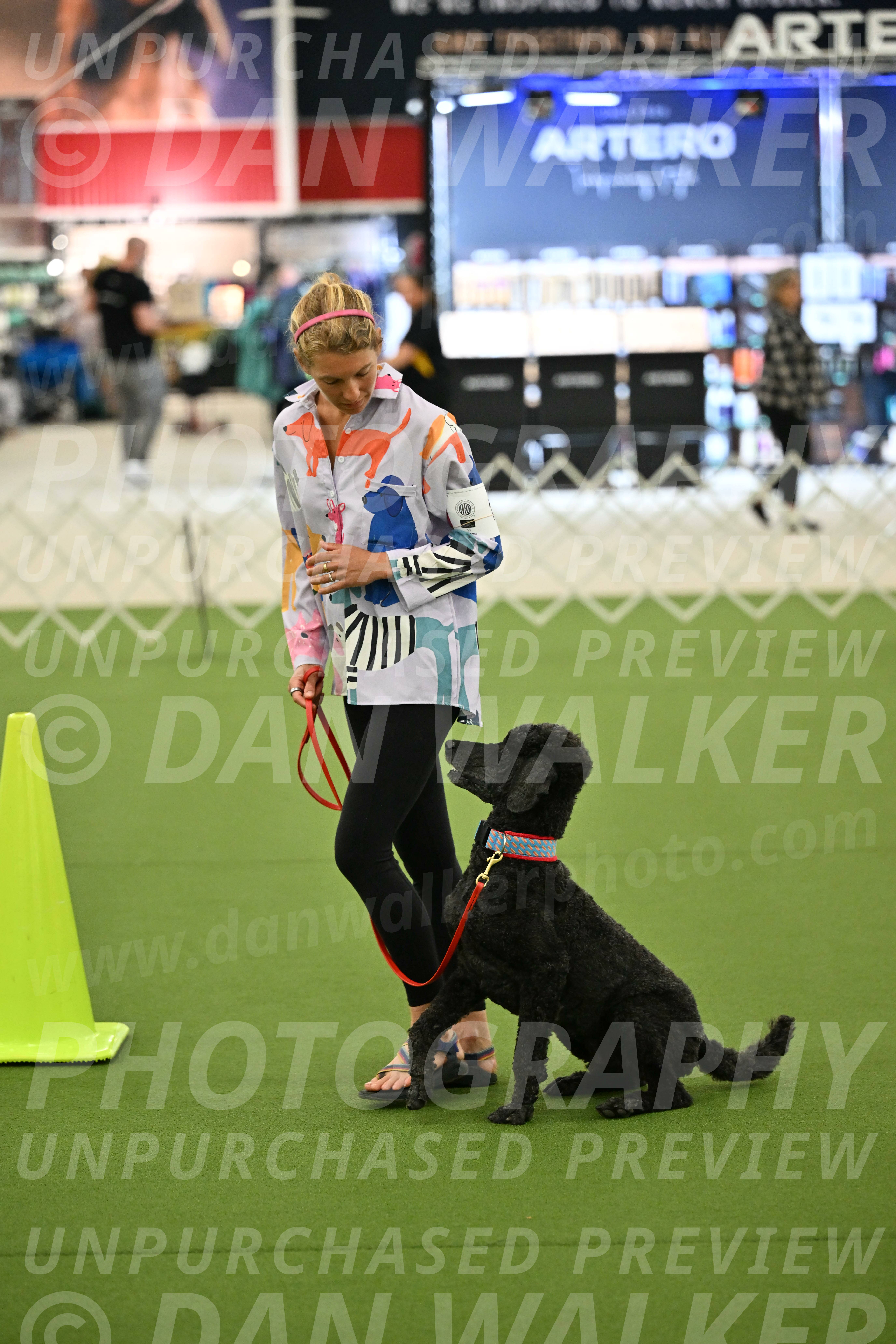 Ring-3-Morning-Obedience_0489