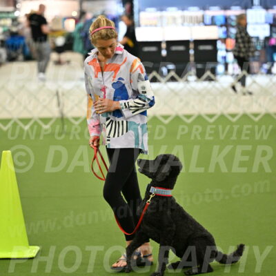 Ring-3-Morning-Obedience_0489