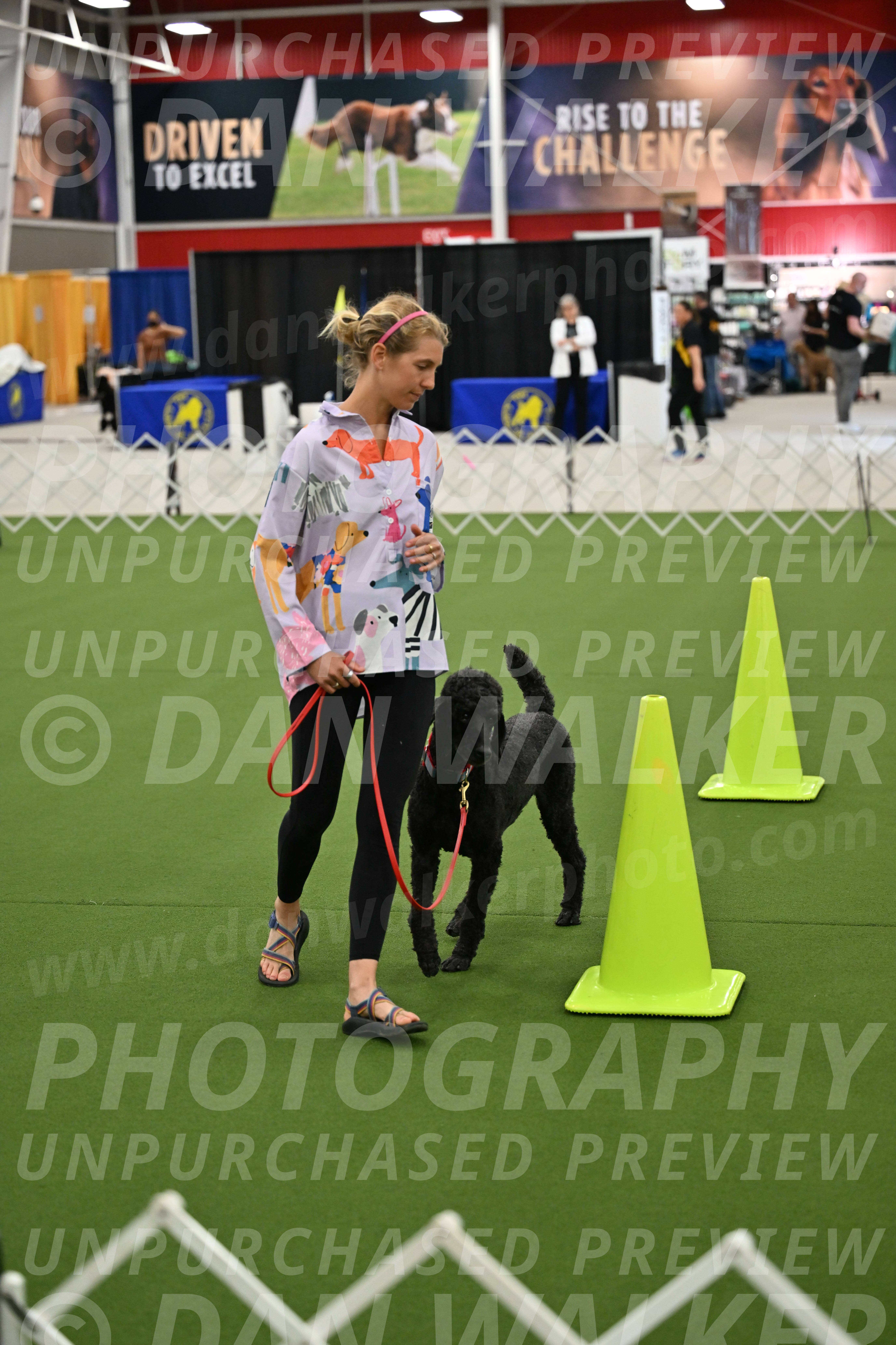 Ring-3-Morning-Obedience_0490