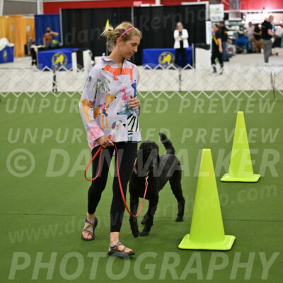 Ring-3-Morning-Obedience_0490