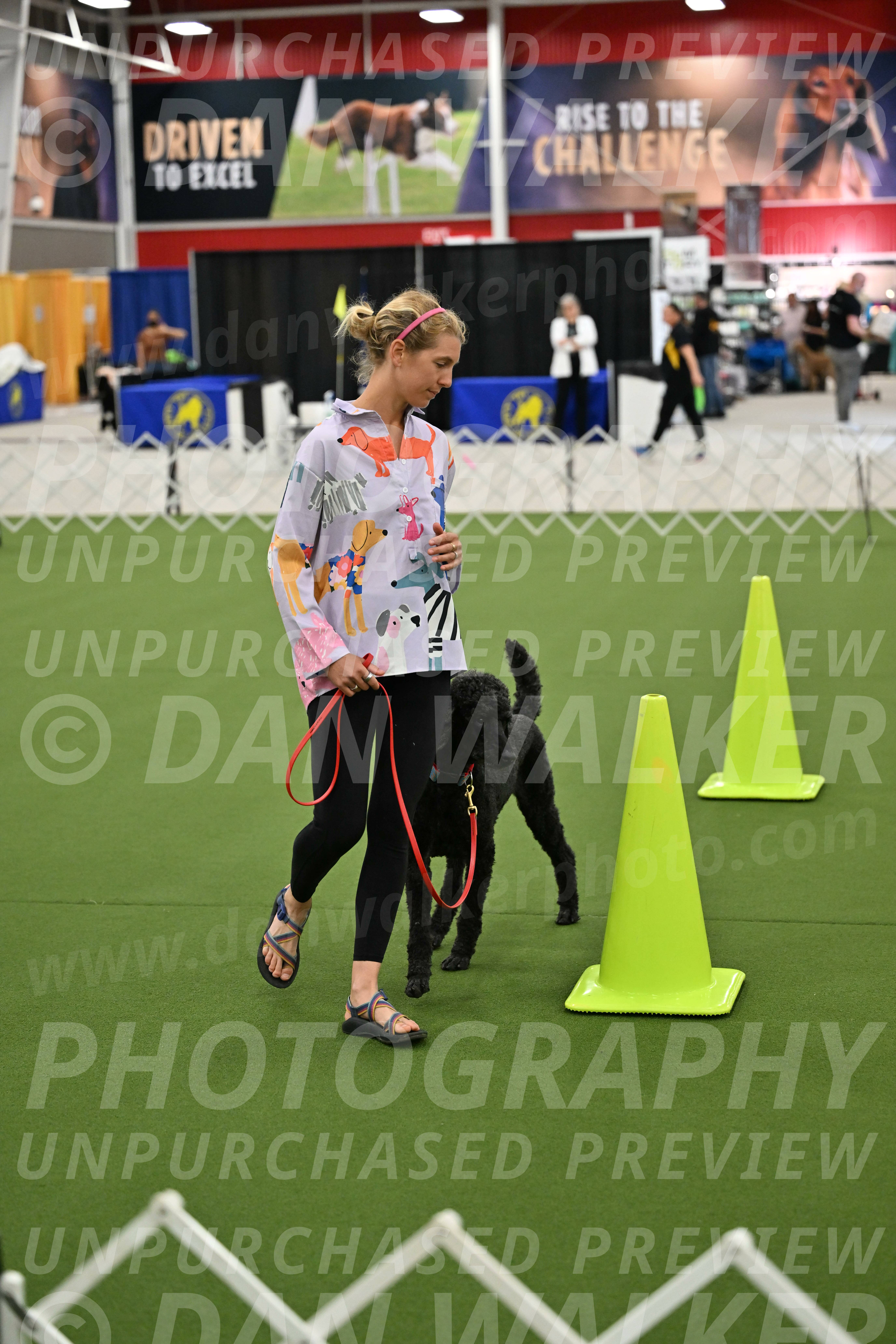 Ring-3-Morning-Obedience_0491