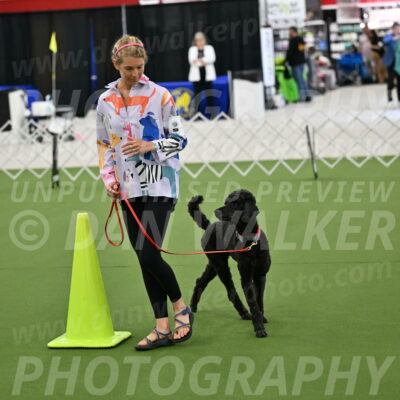 Ring-3-Morning-Obedience_0494