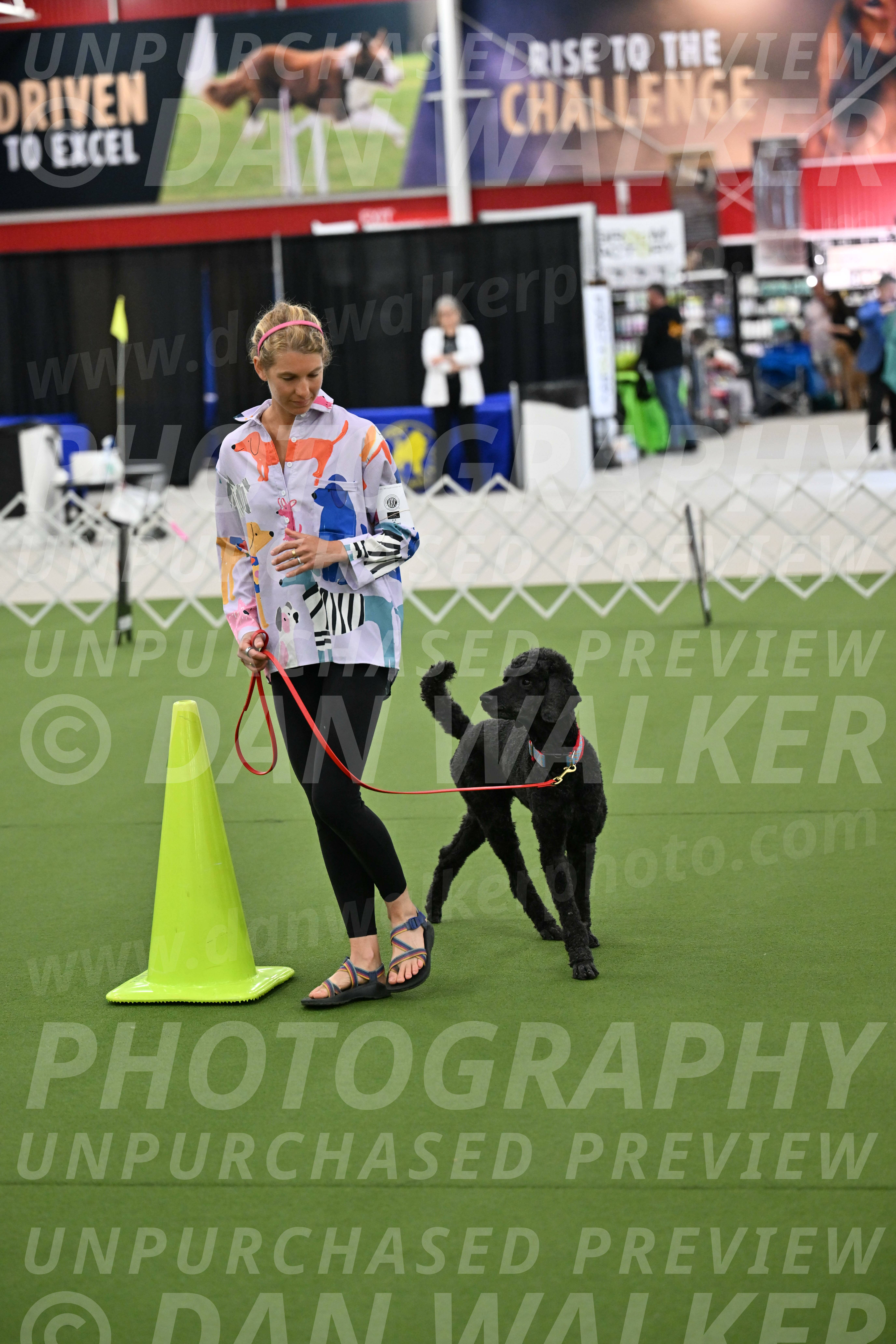 Ring-3-Morning-Obedience_0494