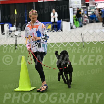 Ring-3-Morning-Obedience_0495