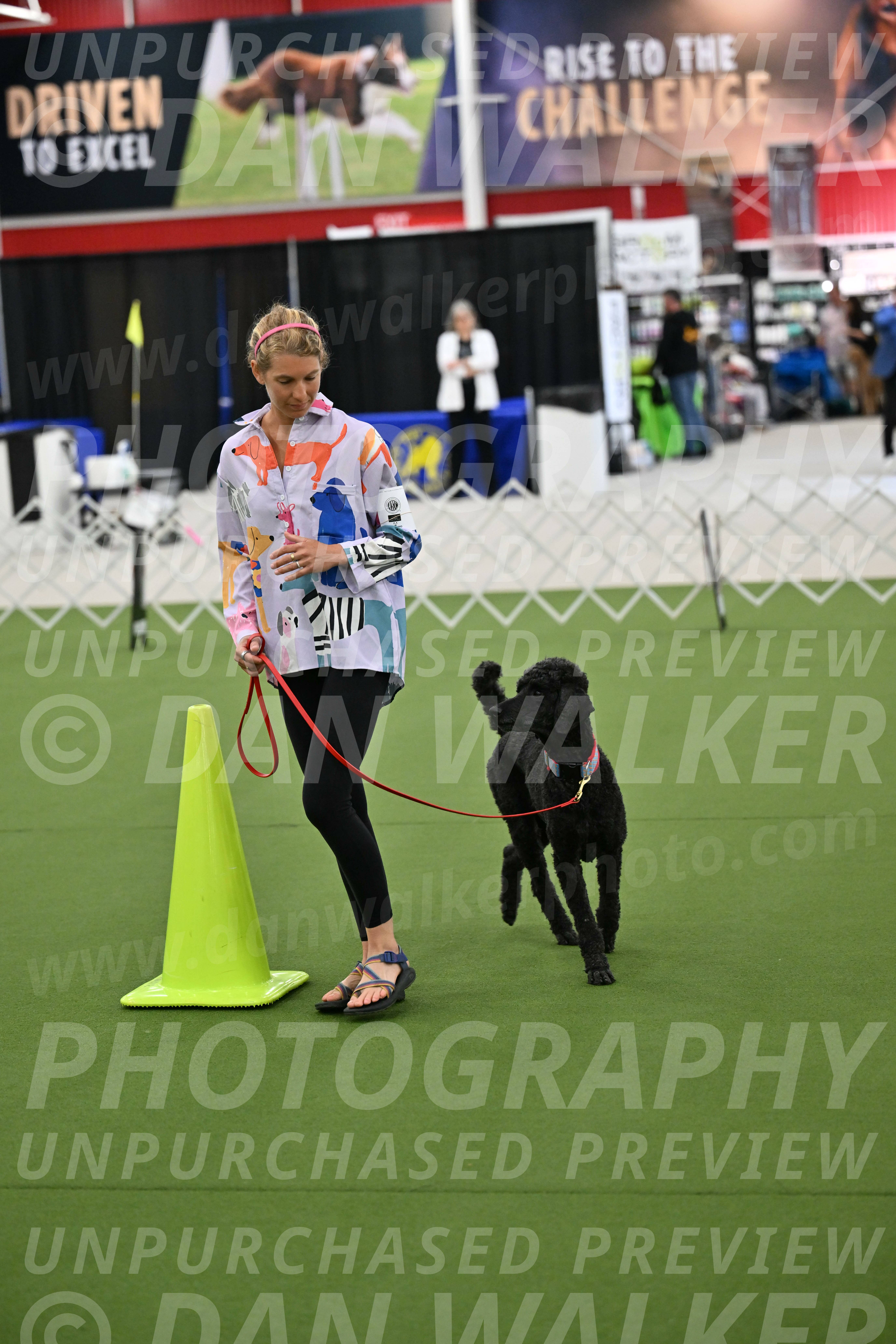 Ring-3-Morning-Obedience_0495