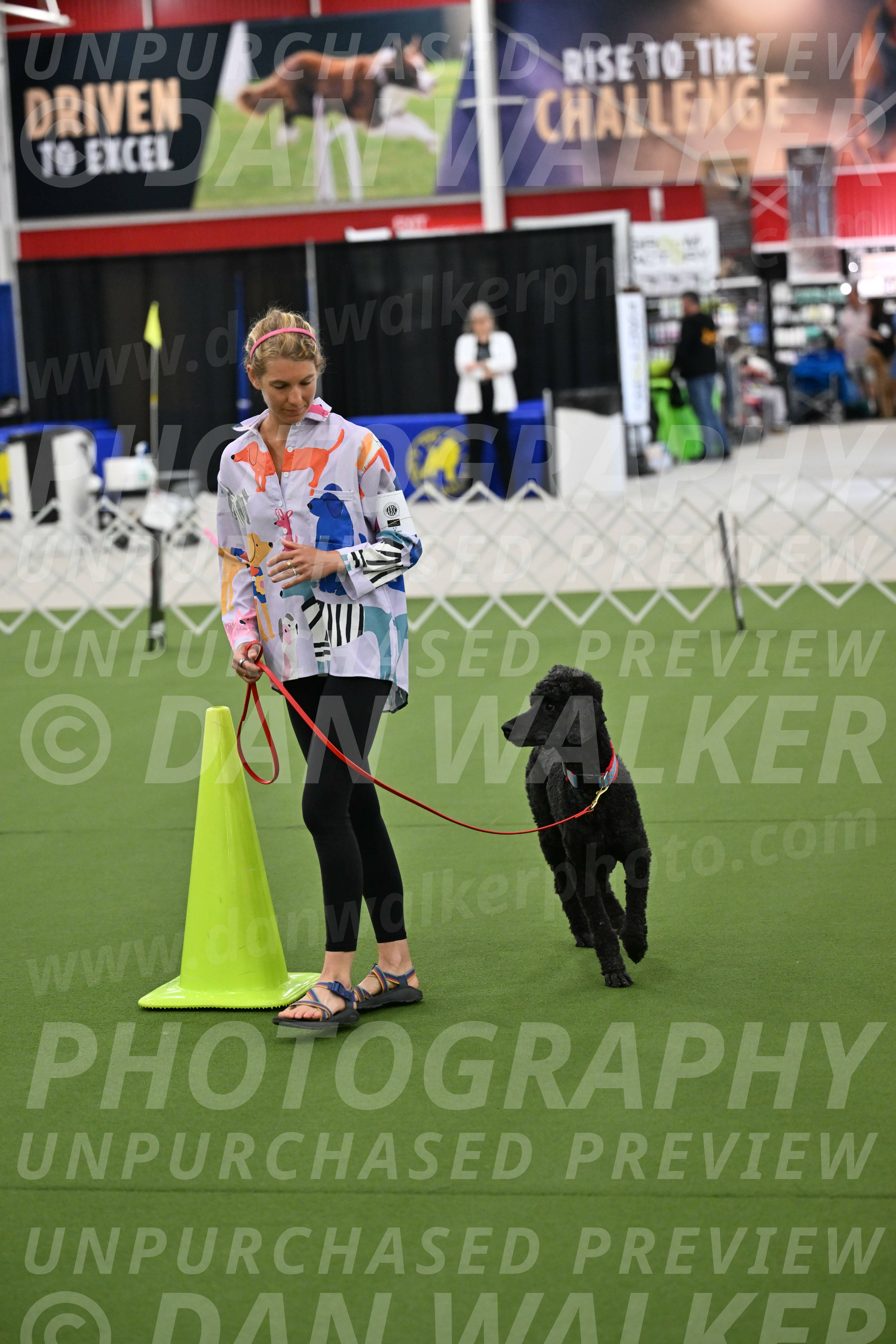 Ring-3-Morning-Obedience_0496