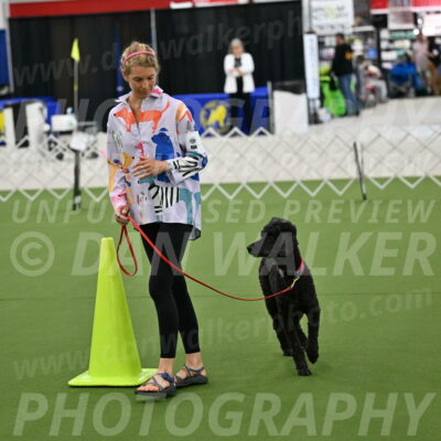 Ring-3-Morning-Obedience_0496