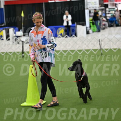 Ring-3-Morning-Obedience_0497