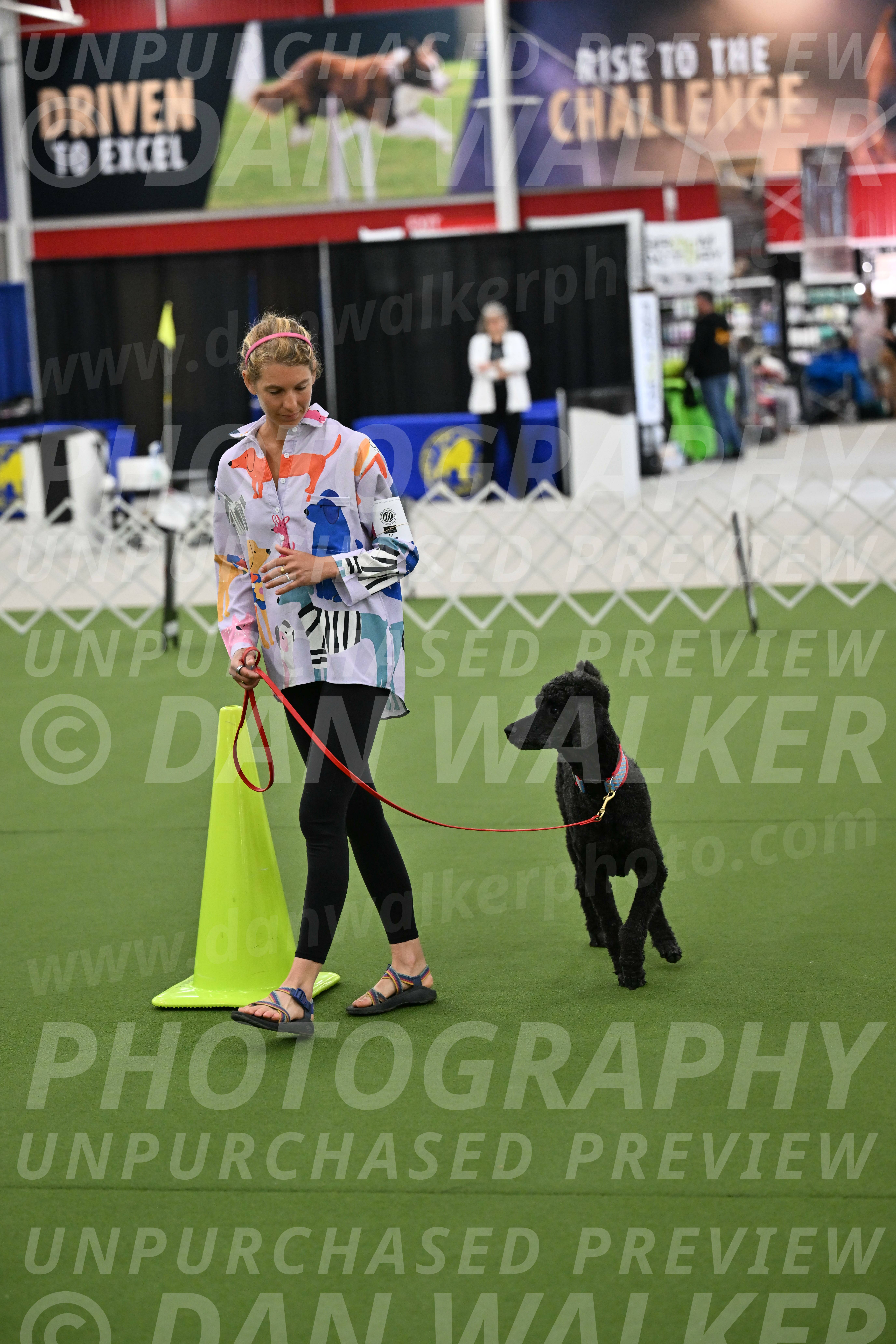 Ring-3-Morning-Obedience_0497