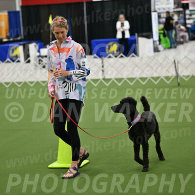 Ring-3-Morning-Obedience_0499