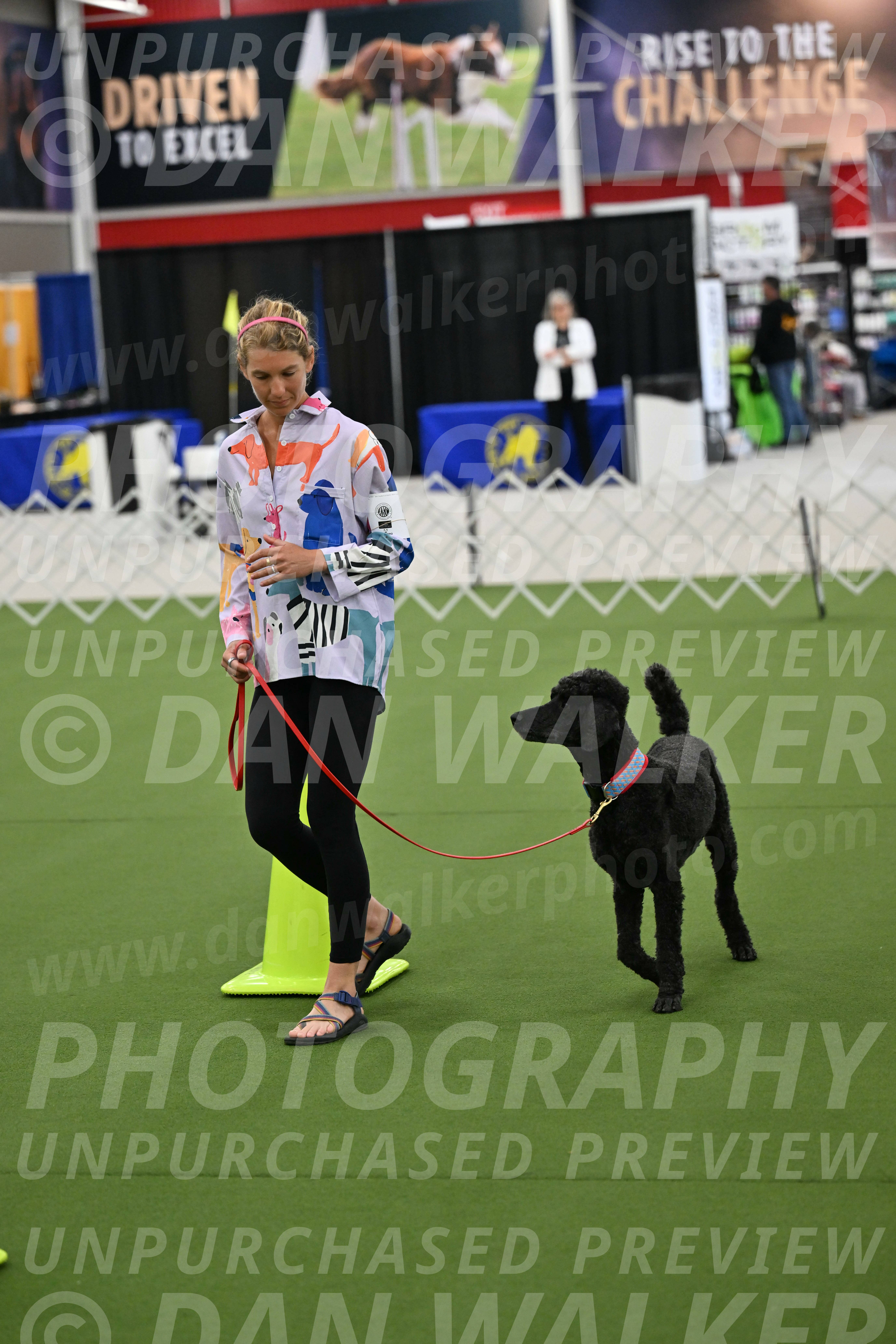 Ring-3-Morning-Obedience_0499