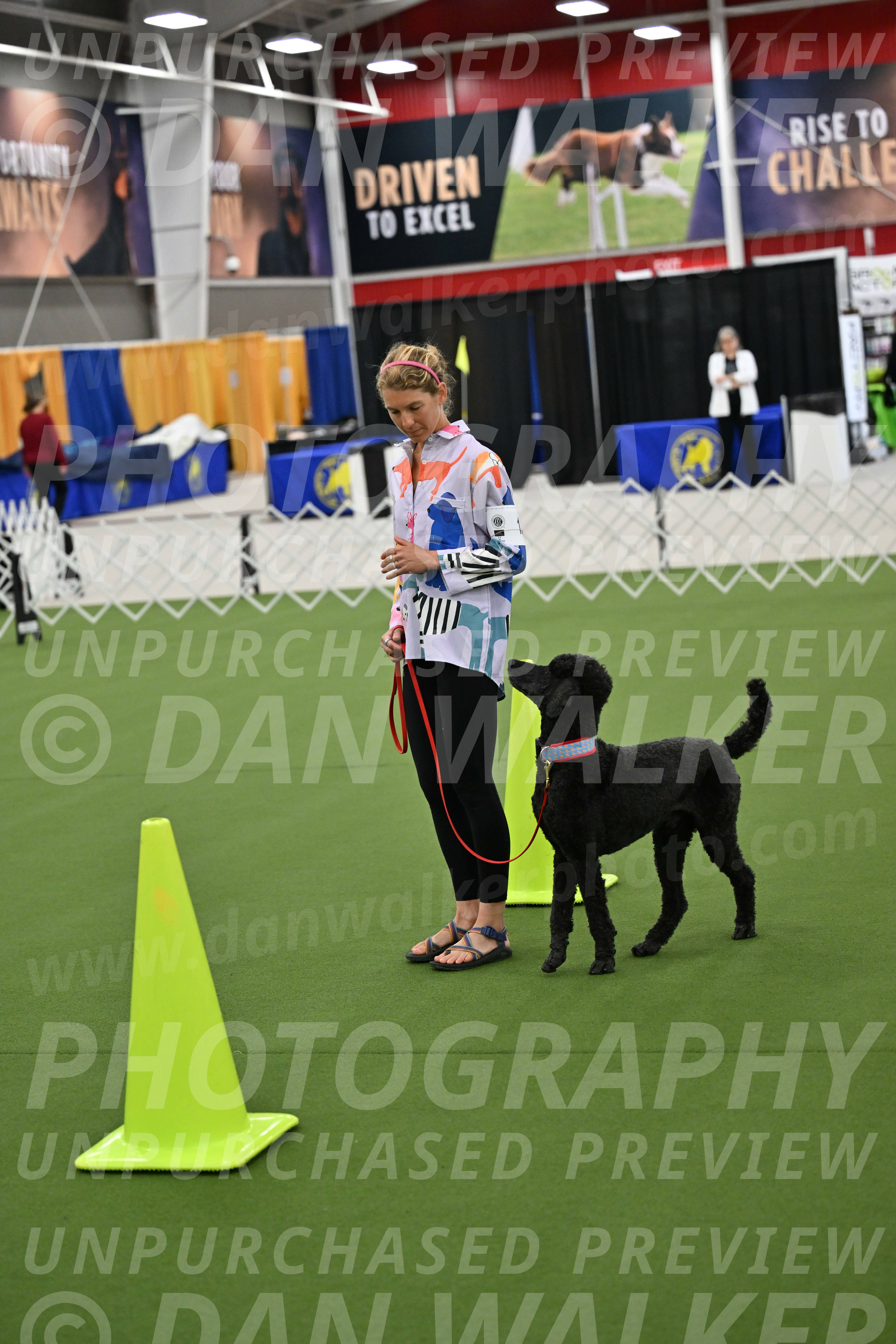 Ring-3-Morning-Obedience_0500