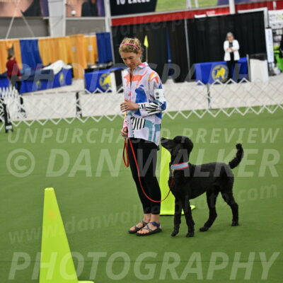 Ring-3-Morning-Obedience_0500