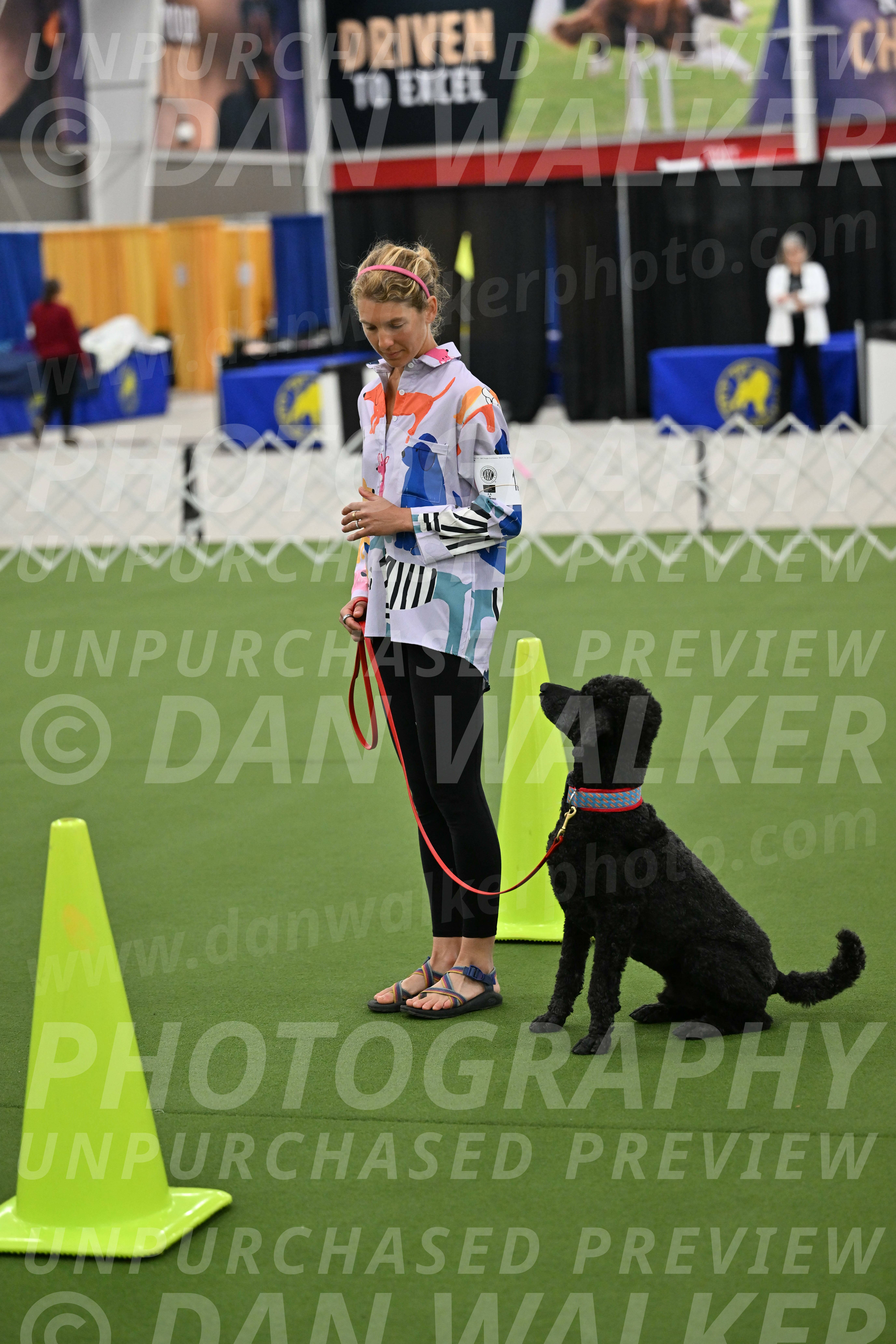 Ring-3-Morning-Obedience_0504