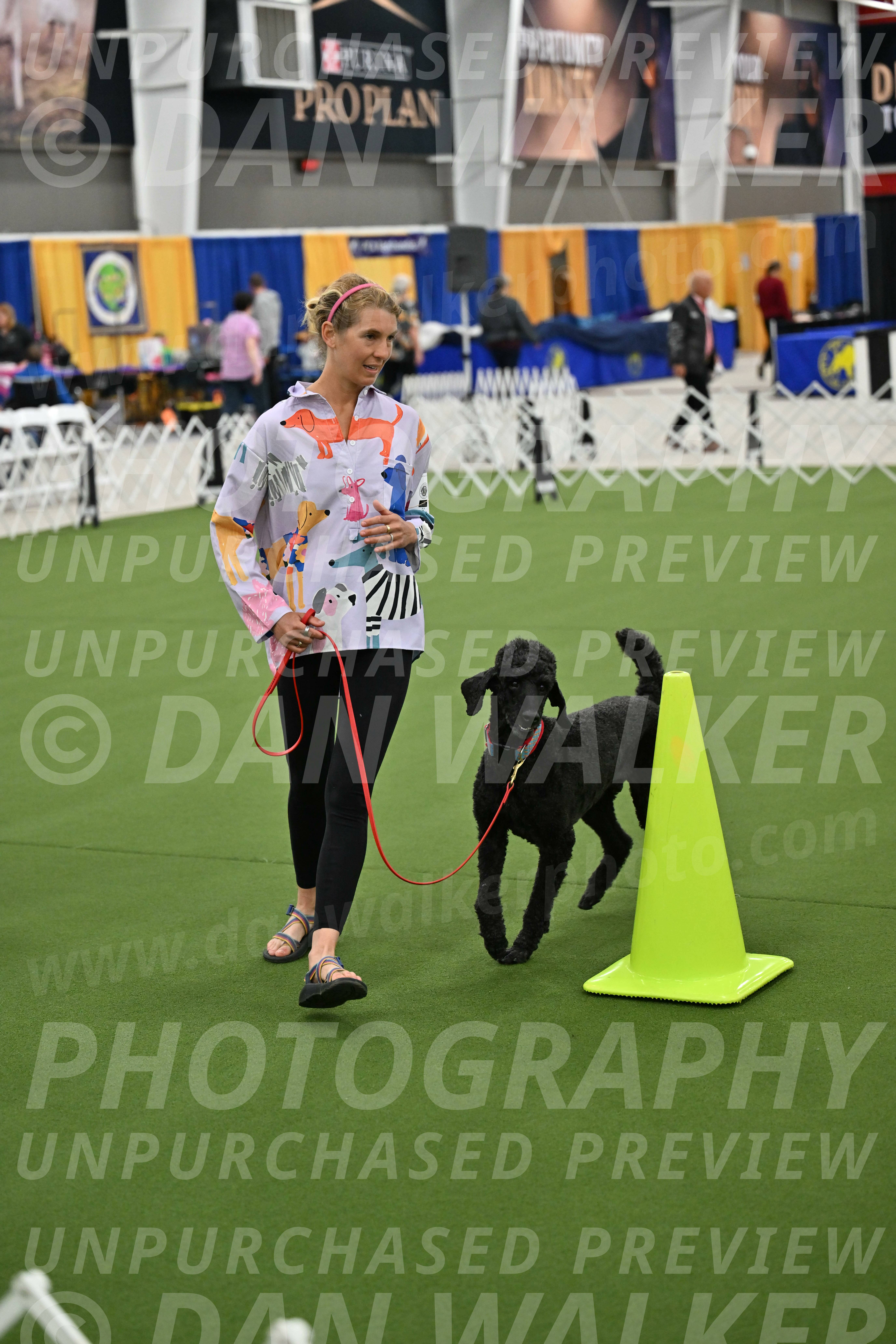 Ring-3-Morning-Obedience_0508